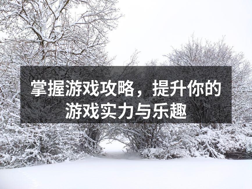 掌握游戏攻略，提升你的游戏实力与乐趣